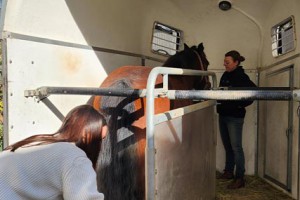 Residence chatrian cheval therapie01