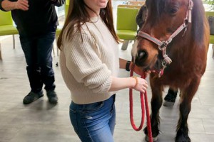 Résidence Autonomie Chatrian cheval therapie02