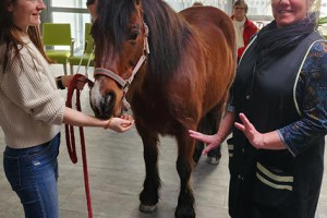 Résidence Autonomie Chatrian cheval therapie03