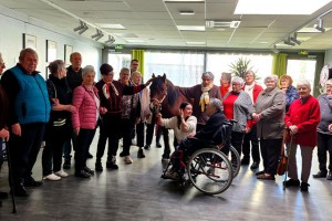 Résidence Autonomie Chatrian cheval therapie04