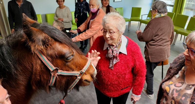 Résidence Autonomie Chatrian Cheval therapie06