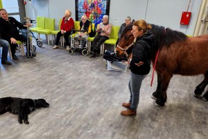 Résidence Autonomie Chatrian cheval therapie07