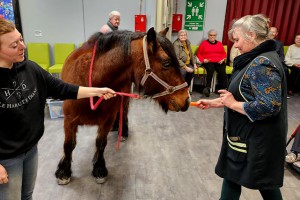 Résidence Autonomie Chatrian cheval therapie08
