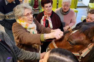 Résidence Autonomie Chatrian cheval therapie09