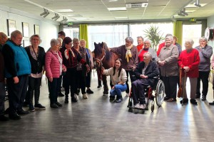 Résidence Autonomie Chatrian cheval therapie13