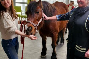 Résidence Autonomie Chatrian cheval therapie15